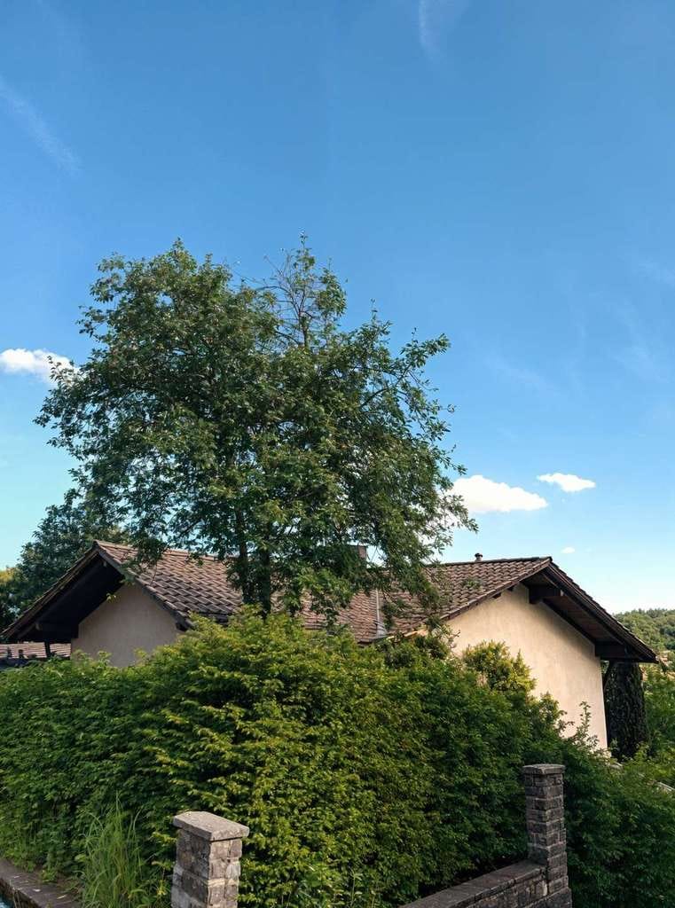 Immobilie in Thurmansbang - Verwirklichen Sie Ihre Wohnträume – Haus mit Potenzial und Ausblick in Thurmansbang - Bild 3