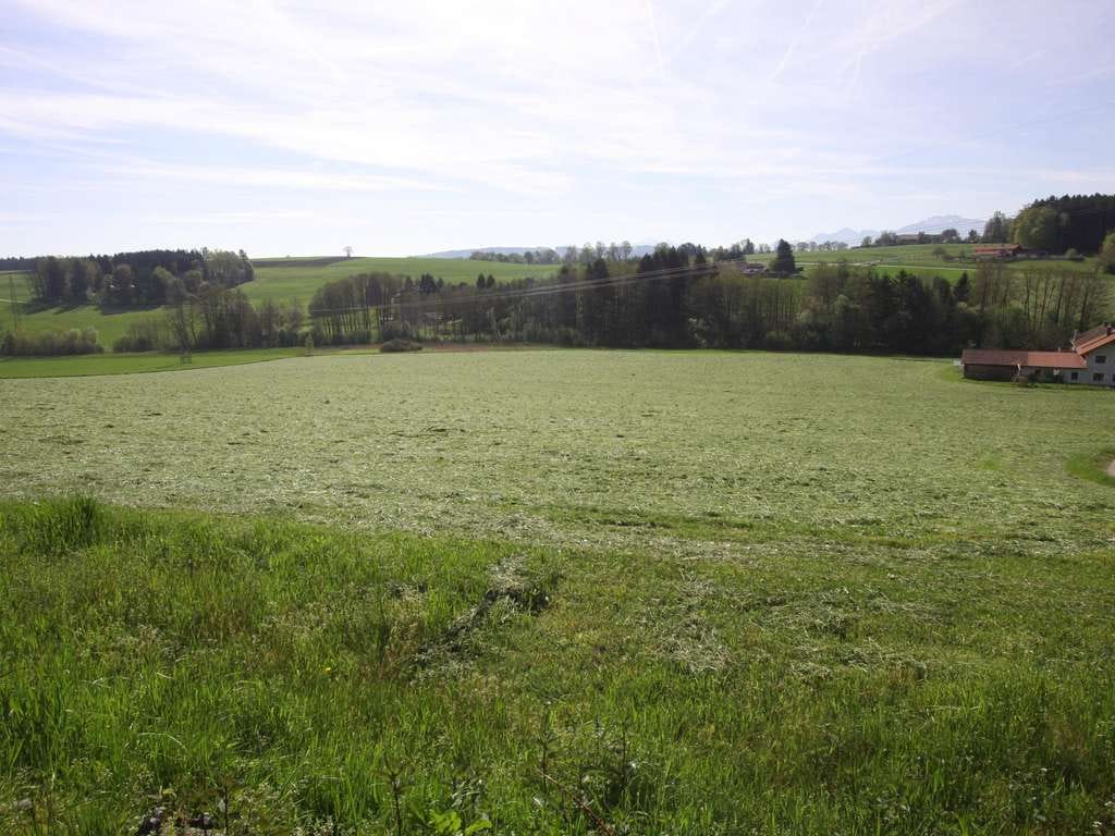 Immobilie in Söchtenau - Einzigartiges Landhaus in Aussichtslage - Bild 3