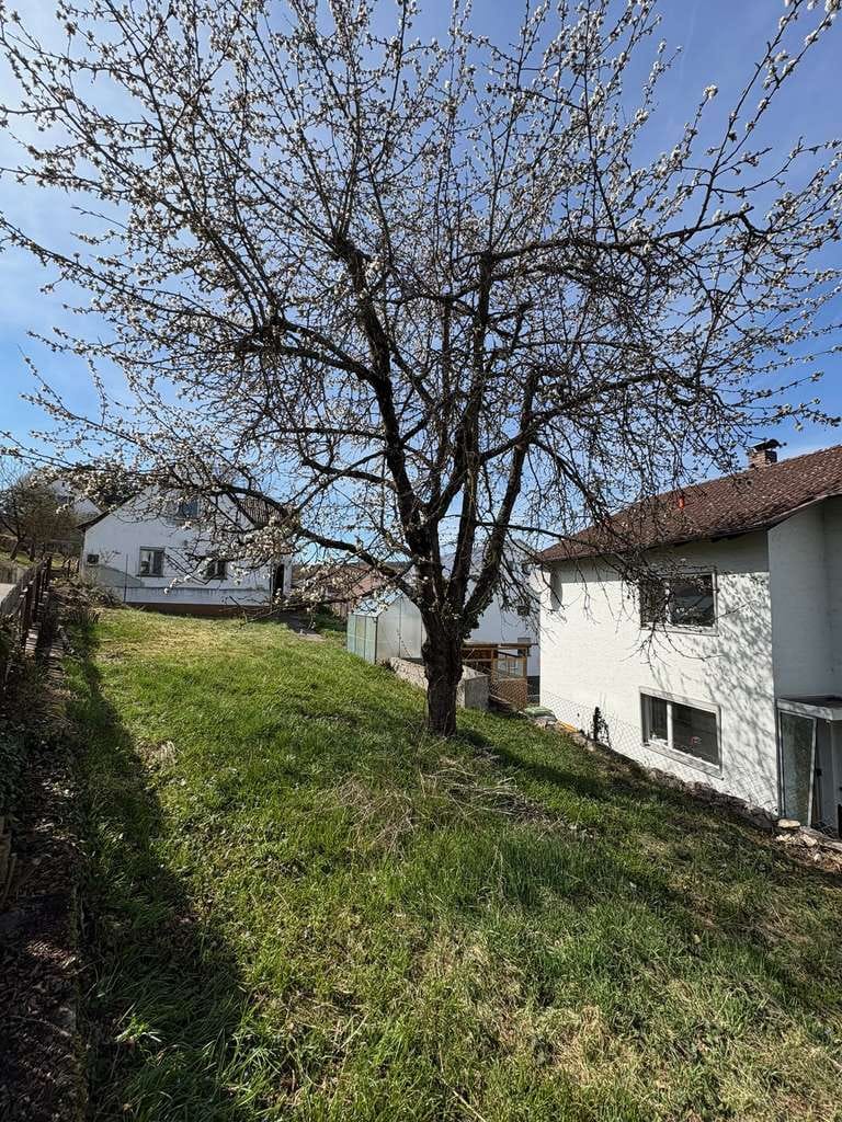 Immobilie in Sinzing - (Bau)Grundstück mit Einfamilienhaus und Garage - Bild 3