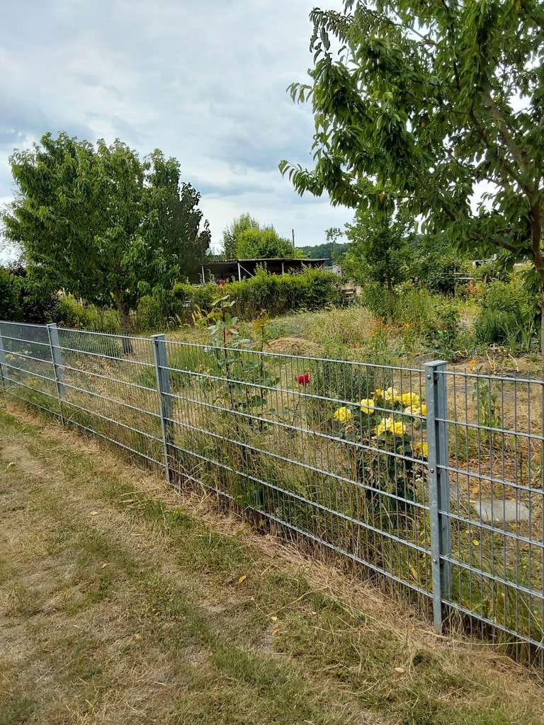 Immobilie in Muldestausee - Eigentum: Grundstück 500qm mit Gartenhaus (modernisiert) und Werkstatt  - Bild 4