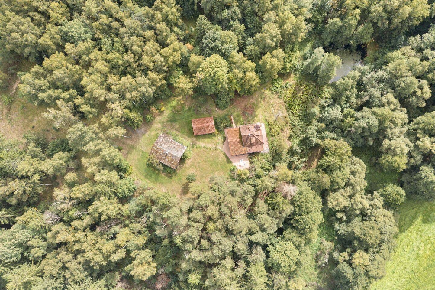 Immobilie in Leupoldsgrün - idyllisches Wochenendhaus in ruhiger Alleinlage auf 4,5 ha zu verkaufen - Bild 1