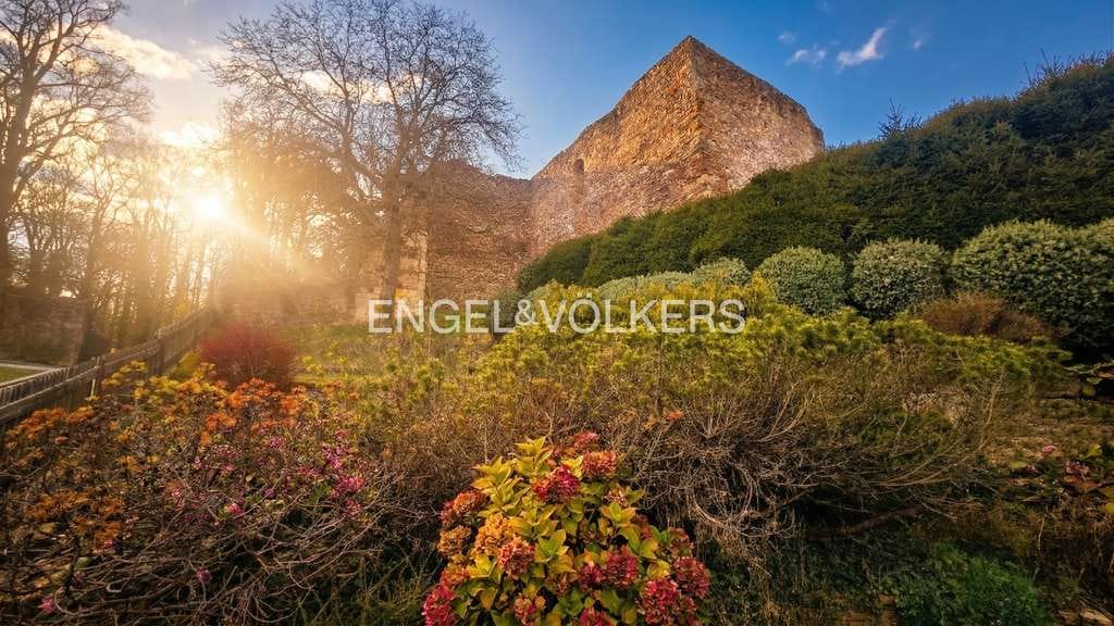 Immobilie in Donaustauf - Altbestand auf idyllisch gelegenem Grundstück in einzigartiger Lage an der Burg Donaustauf - Bild 1