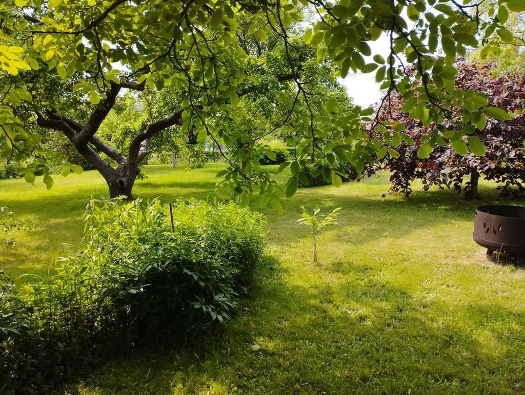 Immobilie in Kühlungsborn - Zwei Häuser mit 7 Einheiten in bester Wohnlage - Bild 2