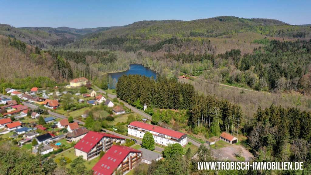 Immobilie in Ludwigswinkel - 2-Zimmer-Apartment oder Ferienwohnung - ruhige Waldrandlage in Ludwigswinkel am Schöntalweiher! - Bild 2