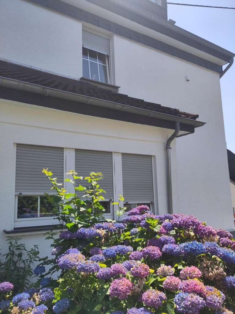 Immobilie in Hilgert - Wohnen mit Charakter: Einfamilienhaus in Hilgert - Bild 4