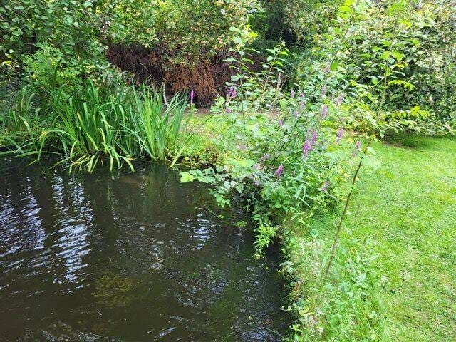 Immobilie in Norderstedt - Der Traum für Naturliebhaber-  Haus mit großem Naturgrundstück und Badeteich in ruhiger Lage von Norderstedt 649.000,- € VB - Bild 1