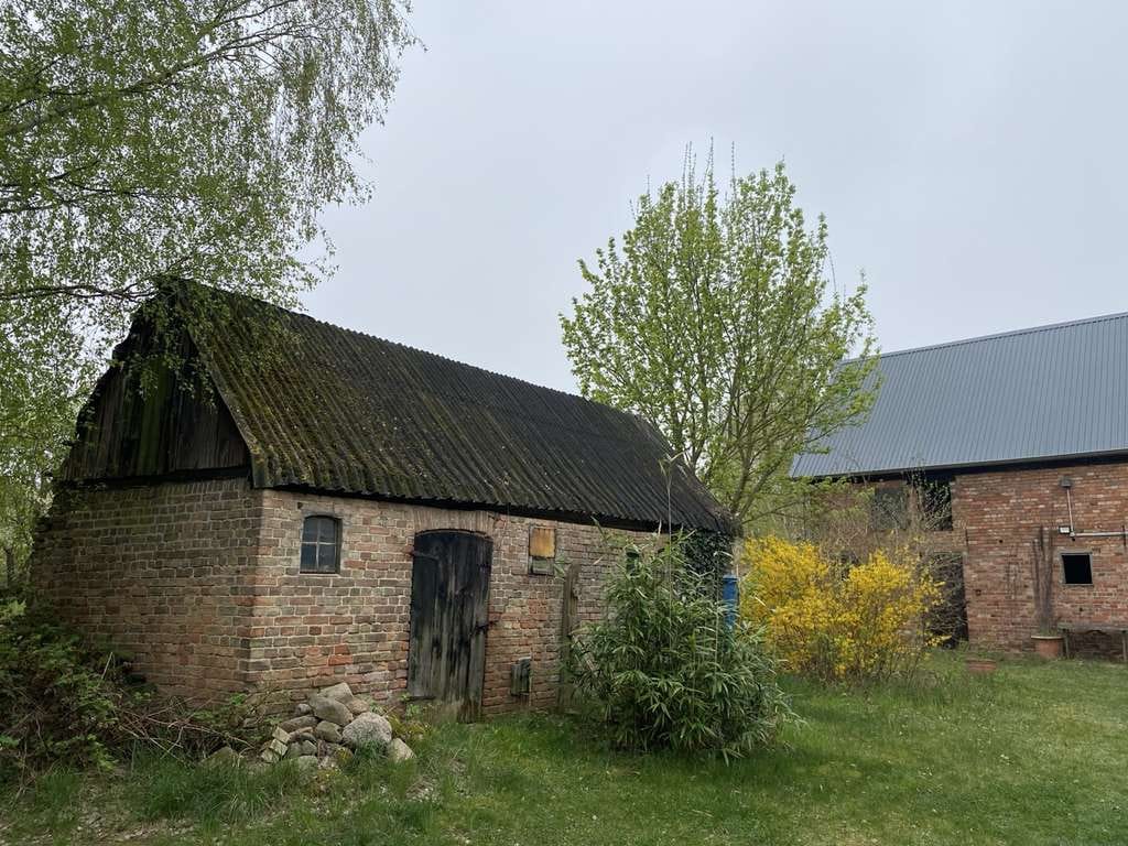 Immobilie in Wilhelmsburg - Das Eichhof Cottage  - zauberhaftes Fachwerkhaus unter Reet - Bild 4