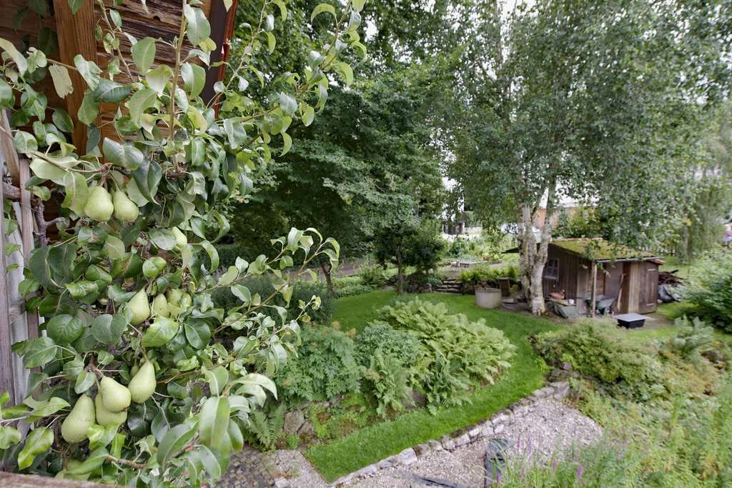 Immobilie in Pfaffenhofen an der Glonn - Ein schönes Familienhaus mit herrlichem Garten und separatem Bauplatz - Bild 1