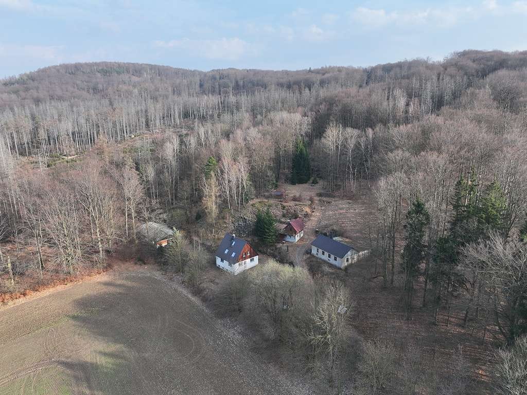 Immobilie in Neukirch/Lausitz - Ausstieg ohne Auswanderung - EFH Refugium in Top Alleinlage - Bild 3