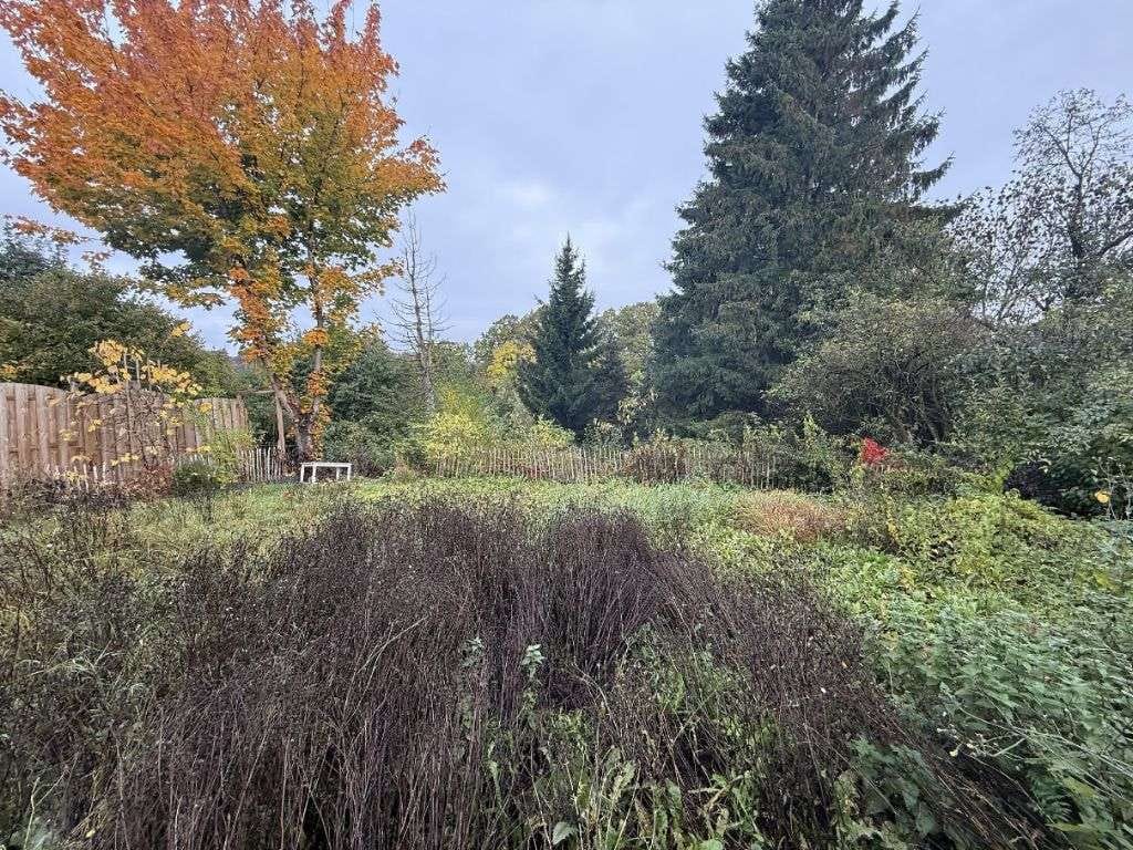 Immobilie in Barntrup - geräumiges Wohnhaus mit Potential - Bild 2