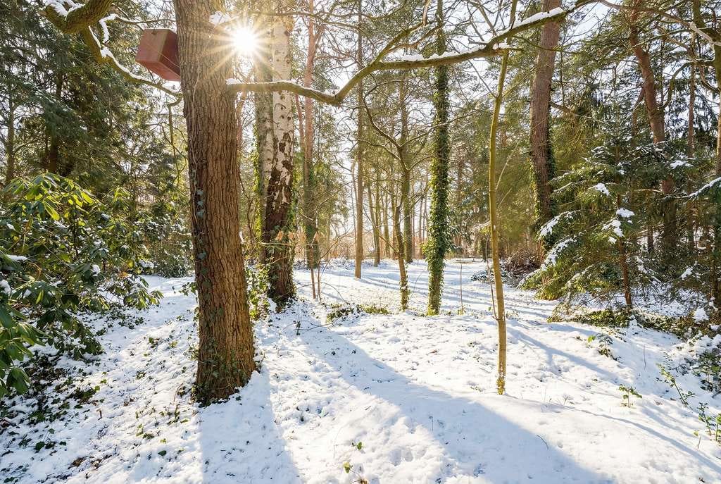 Immobilie in Sottrum - Freiraum für Ihre Wohnideen - Einfamilienhaus auf außergewöhnlich schönem Grundstück - Bild 4