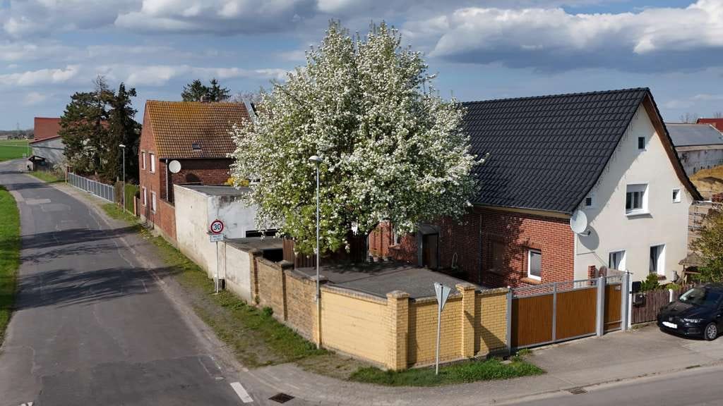 Immobilie in Schönwölkau - Großes Grundstück mit Immobilien-Duo - Bild 1