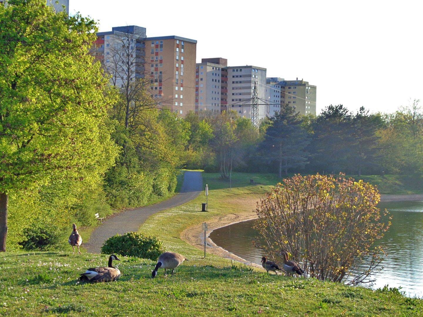 Immobilie in Mainaschaff - 3-Zimmer-Wohnung am Mainparksee – Wohnen in Seenähe mit modernisiertem Wohnkomfort - Bild 1