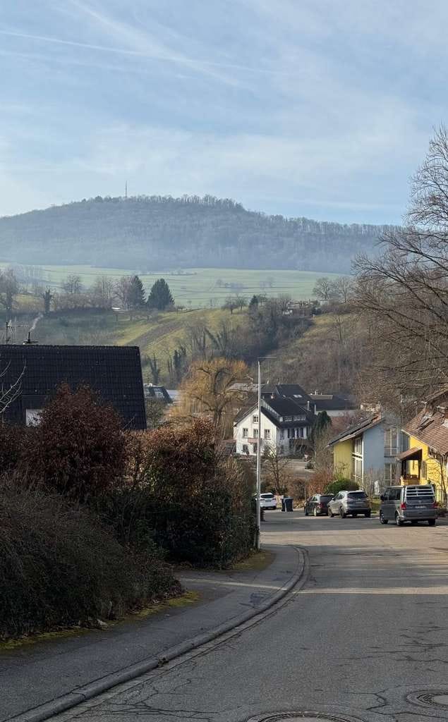 Immobilie in Au - Ein Haus - viele Lebensmodelle: Wohnen, Arbeiten und Generationen verbinden in Au bei Freiburg - Bild 2