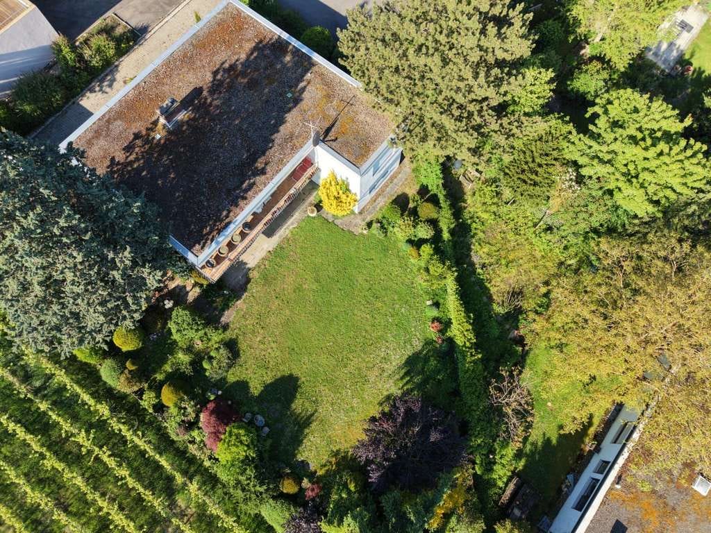 Immobilie in Güglingen - Wohnen mit Charakter: Großzügiger Bungalow mit unverbaubarem Blick in die Weinberge in Güglingen - Bild 3