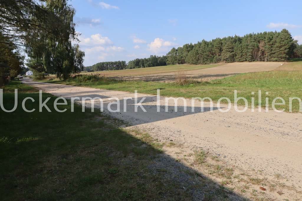Immobilie in Schorfheide - Lage, Dorfrandlage, Traumlage – Einfamilienhaus in Klandorf zu verkaufen! - Bild 4