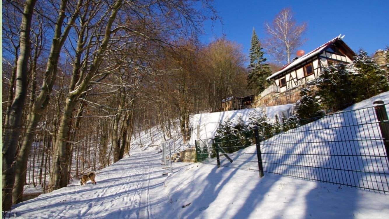 Immobilie in Meinhard - Sehr gepflegtes und bezugsfertiges Einfamilienhaus  - Bild 1