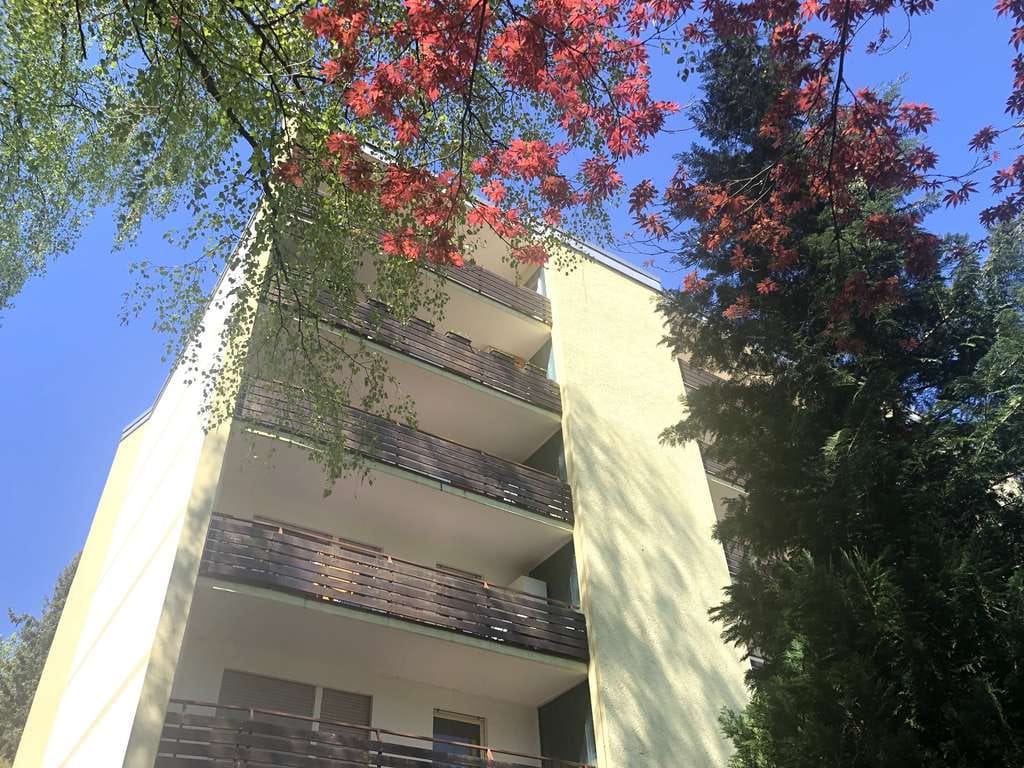 Immobilie in Bad Wildbad - Kleines + modernes Appartement mitten im Wald! - Bild 0