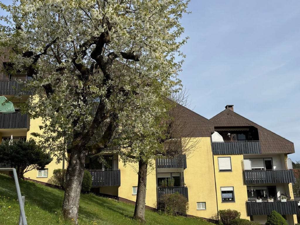 Immobilie in Bad Berneck im Fichtelgebirge - 1-Zi. Eigentumswohnung - Bild 0