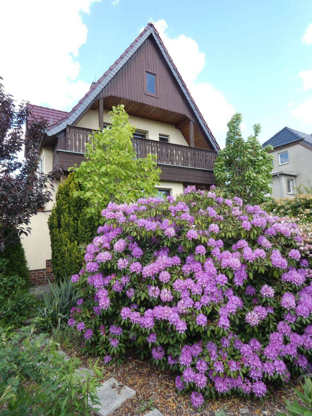 Immobilie in Hohenleipisch - Raus ins Grüne: Einfamilienhaus mit Obstwiese, Waldgrundstück und viel Raum für eigene Ideen - Bild 2