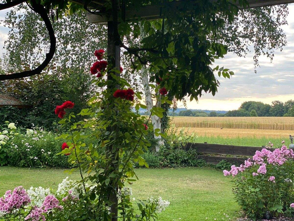 Immobilie in Illerkirchberg - Einzigartiges Einfamilienhaus mit traumhaftem Garten "ein kleines Paradies" - Bild 4