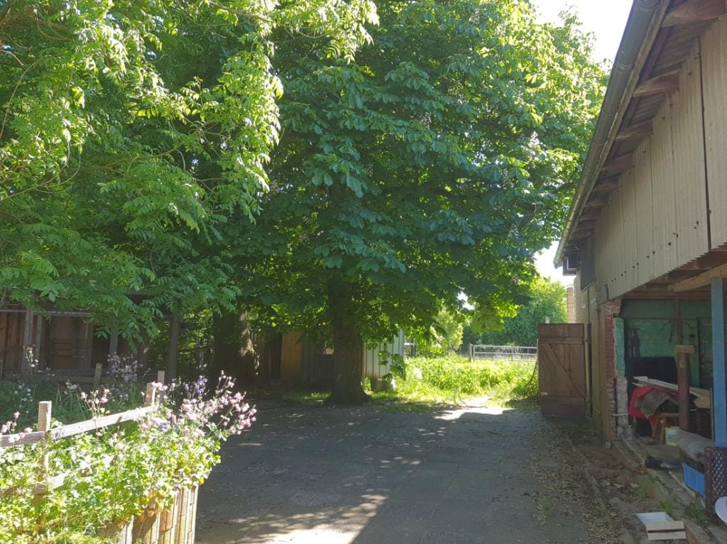 Immobilie in Eggstedt - Haus in Eggstedt - Bild 0