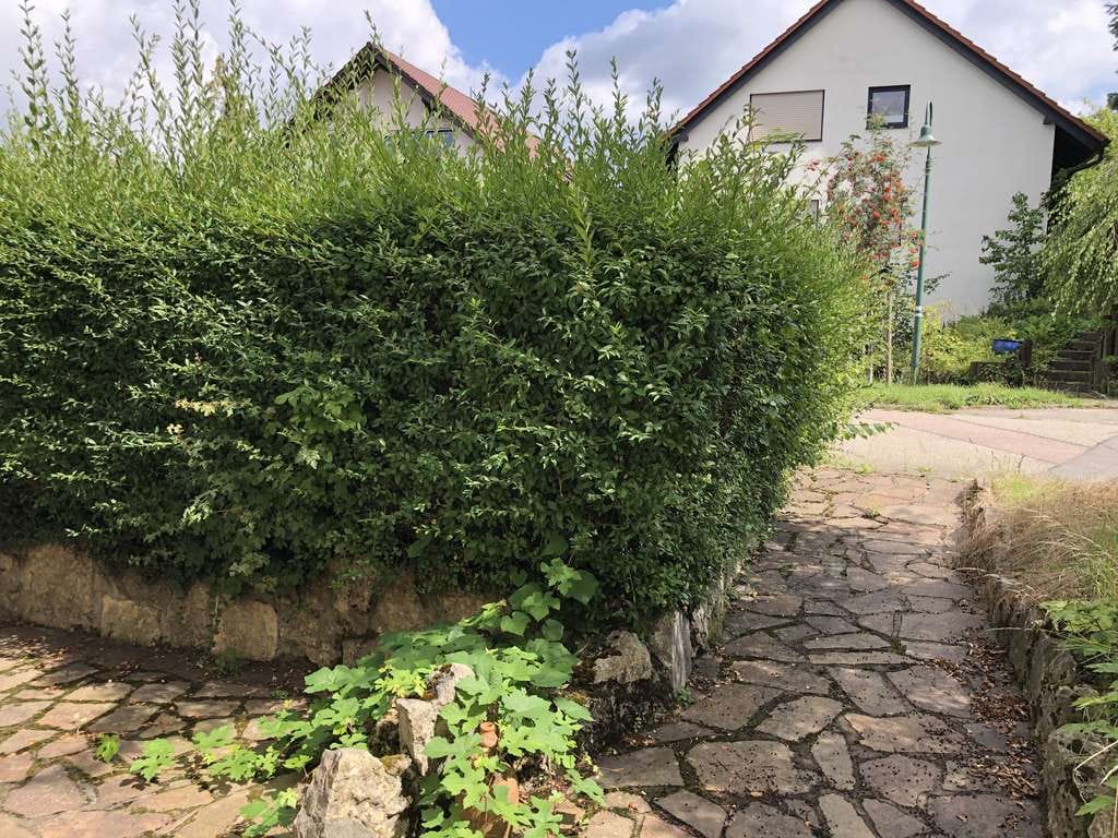 Immobilie in Wiernsheim - Bezugsfertig und wie neu - kompaktes RH in Bestlage - Bild 3