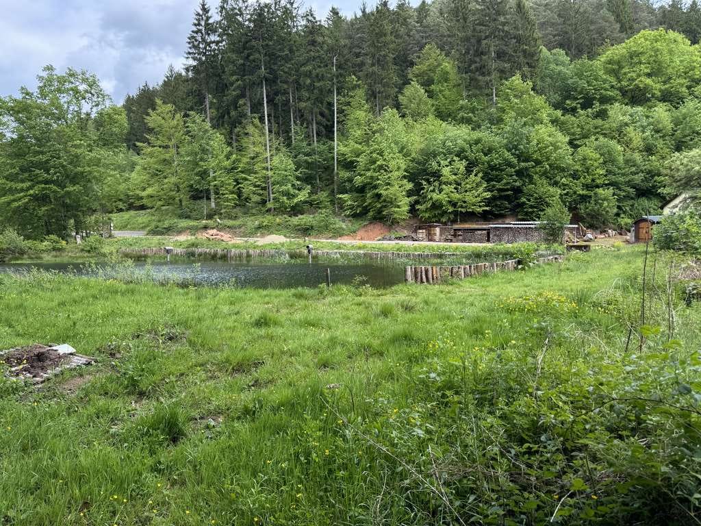 Immobilie in Waldfischbach-Burgalben - ***Absolute Traumlage im Pfälzerwald*** - Bild 5