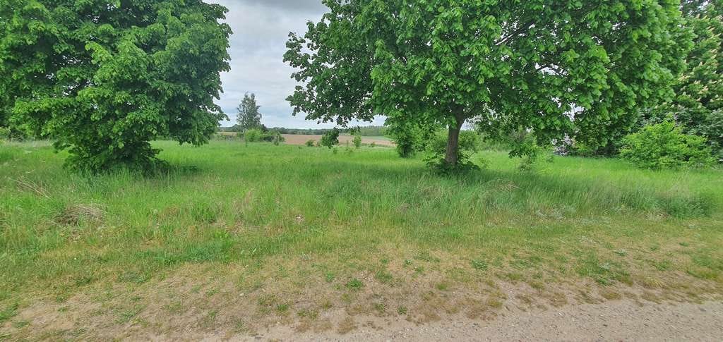 Immobilie in Oberbarnim - Neubauprojekt auf ca. 2121 m² Land in Naturidylle - nur 20 Minuten nach Strausberg - Bild 3