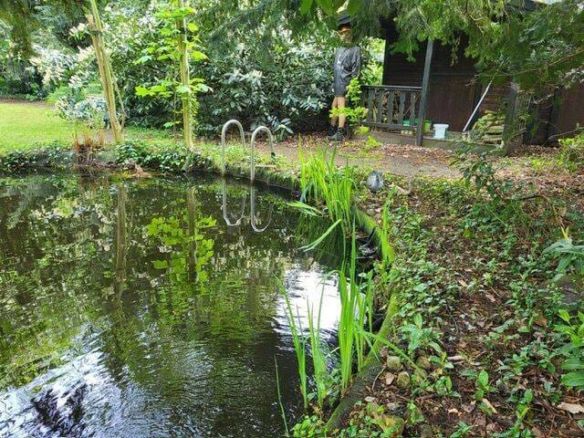 Immobilie in Norderstedt - Der Traum für Naturliebhaber-  Haus mit großem Naturgrundstück und Badeteich in ruhiger Lage von Norderstedt 649.000,- € VB - Bild 2