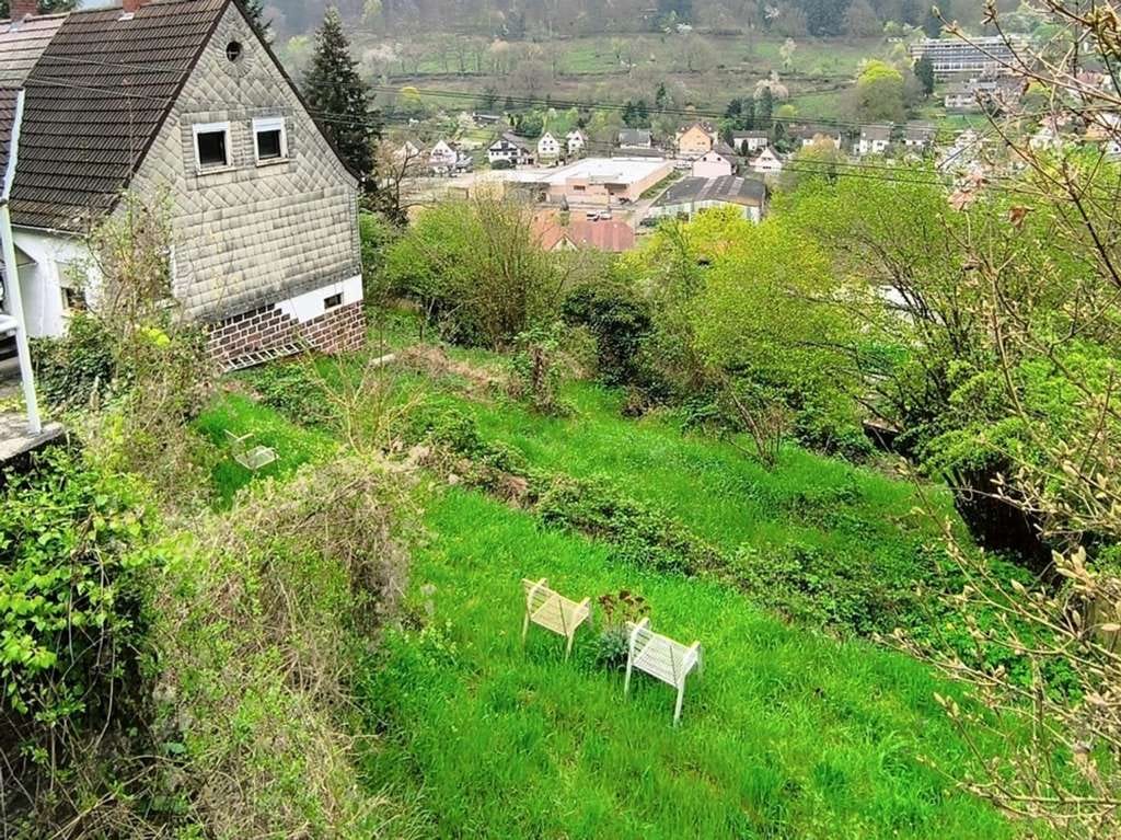 Immobilie in Lambrecht - Kleines Häuschen auf großem sonnigen Hanggrundstück mit Süd- 
ausrichtung und Fernblick - Bild 3