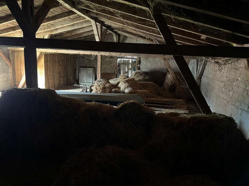 Immobilie in Wriezen - PROVISIONSFREIES LANDHAUS | Historischer Charme trifft ländliche Idylle - Bild 4