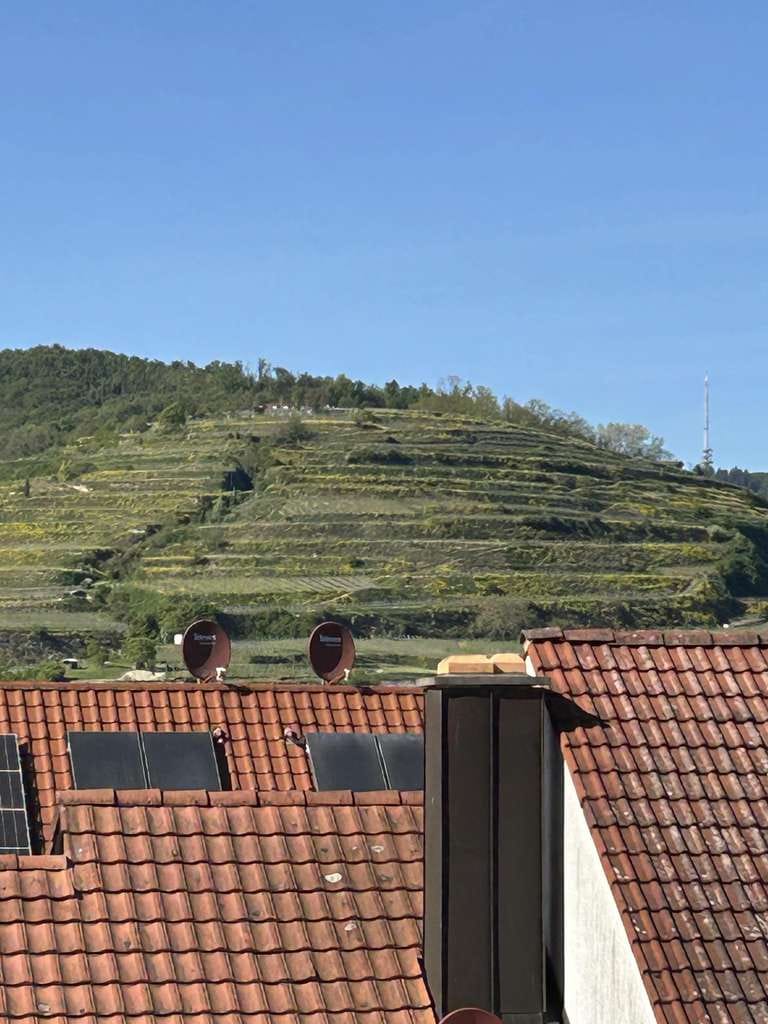 Immobilie in Ihringen - Wohnen im Herzen des Kaiserstuhls - Bild 2