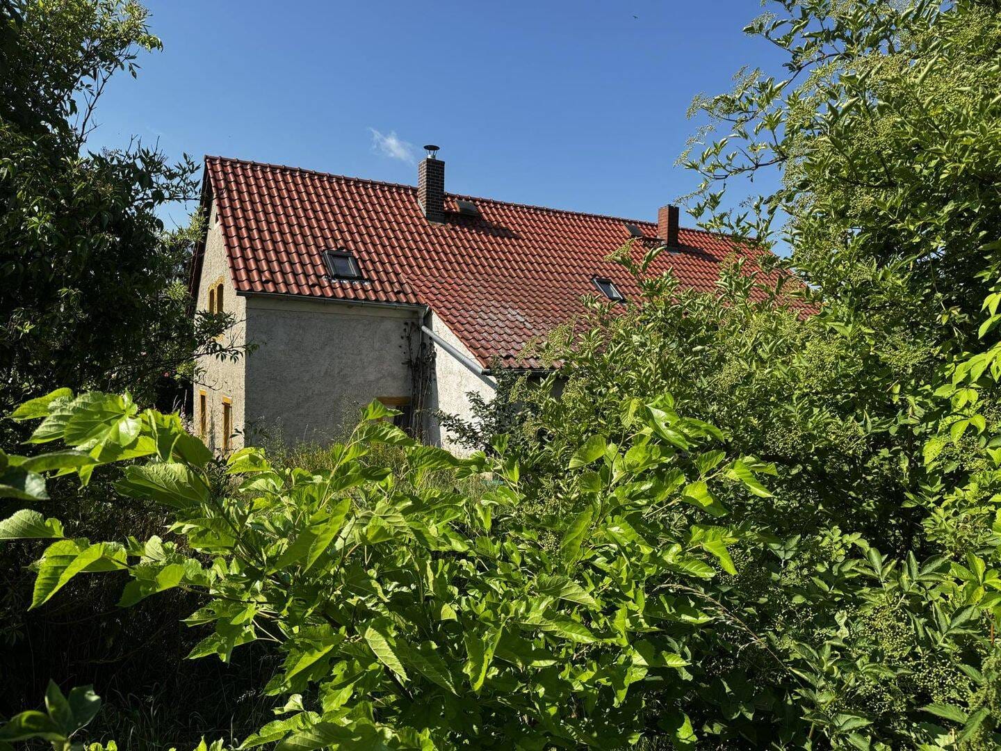 Immobilie in Liebschützberg - Landleben mit Charme: Hofanlage mit Wohnhaus und Scheune in Liebschütz - Bild 3