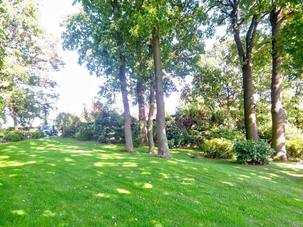 Immobilie in Obergurig - Hornja Hórka - Mod. EFH im Bungalowstil mit Terrasse - Bad m. Wanne u. Dusche - Kamin - EBK - Doppelcarp. - nahe BZ - Bild 4