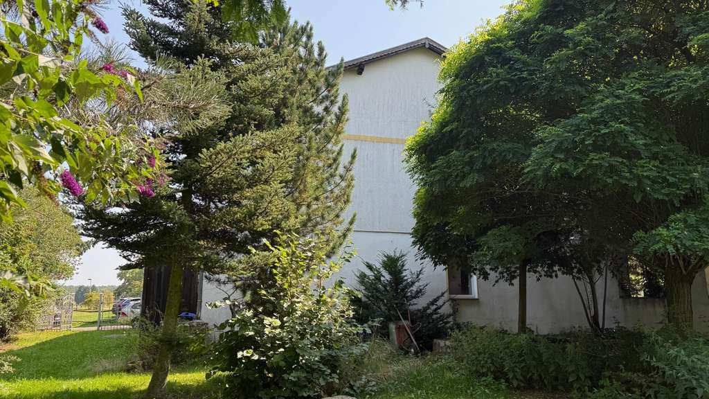 Immobilie in Felixsee - Sommerresidenz und mehr! - Bild 4