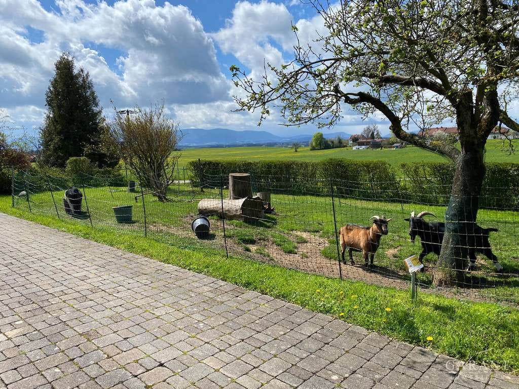 Immobilie in Kirchanschöring - Zweifamilienhaus mit viel Potenzial  -  Endlich Platz für Garten, Tiere und Ihre Wohnträume! - Bild 1