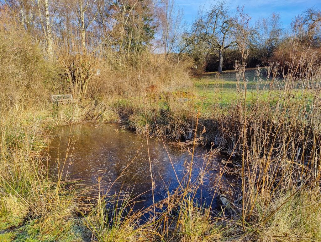 Immobilie in Altenkirchen (Westerwald) -  - Bild 4