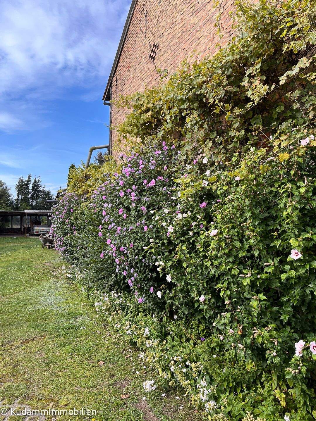 Immobilie in Rheinsberg - Einfamilienhaus mit Nebengelassen und großem Grundstück in Linow - Bild 1