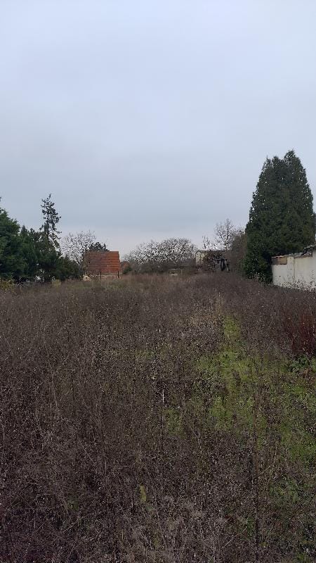 Immobilie in Alsleben - Einfamilienhaus mit Nebengelass in Alsleben - Bild 3