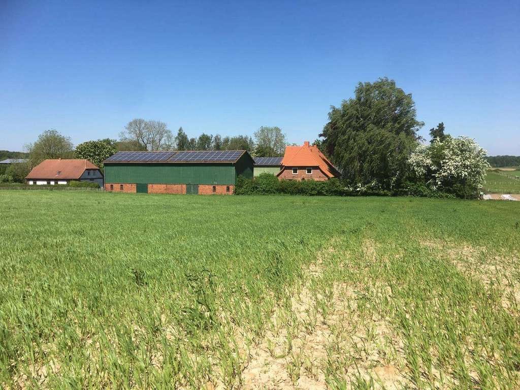 Immobilie in Struxdorf - Resthof in traumhafter Lage mit Nebengebäuden und optional 2,5 Ha Land am Hof - Bild 1