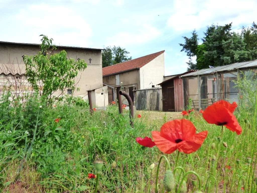 Immobilie in Kloster Lehnin - Aus Alt mach Neu - mit Scheune, Stallgebäude und großem Garten - Bild 0