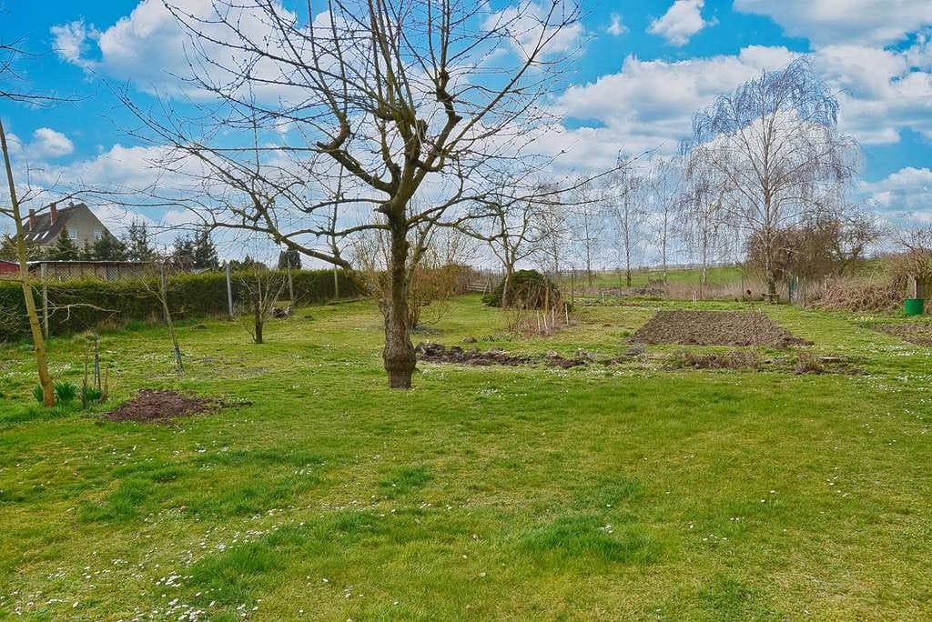 Immobilie in Müncheberg - Großer Garten, gemütliches Haus, Grundstück 2.700 m2, 2 Garagen, viel Potential! - Bild 1