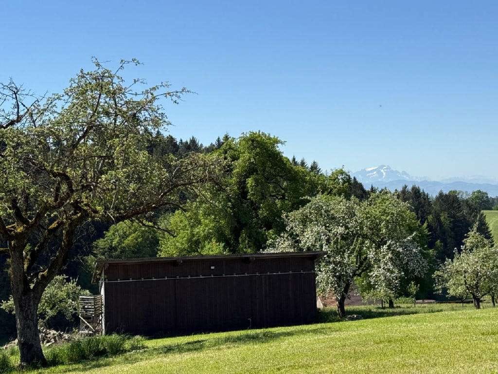 Immobilie in Neukirch - Erbauen Sie sich Ihren Bauernhof neu! Top Lage nahe Bodensee mit tollem Ausblick! - Bild 3