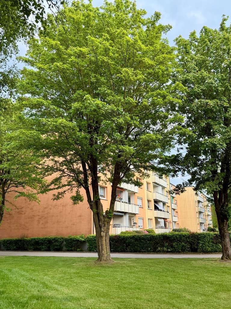 Immobilie in Zeven - Frei lieferbare Endetagenwohnung! Hell und perfekt gestalteter Grundriss... - Bild 2