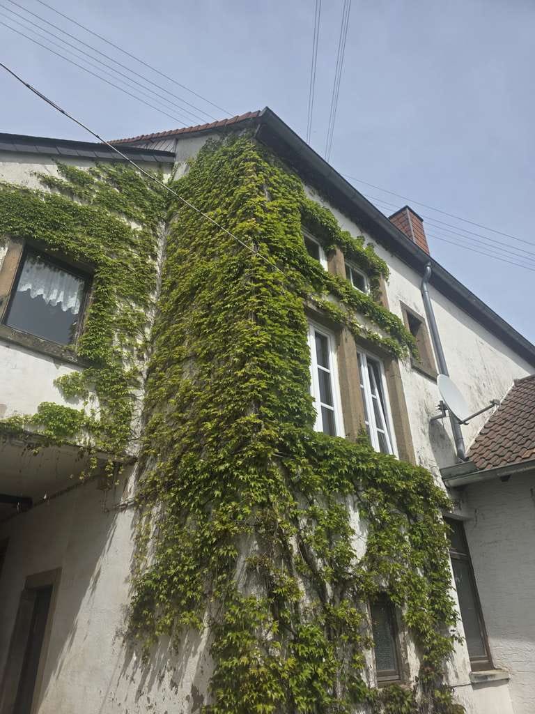 Immobilie in Dennweiler-Frohnbach - *81*Großes Anwesen mit viel Geschichte*Bauernhof*Dennweiler-Frohnbach* - Bild 4
