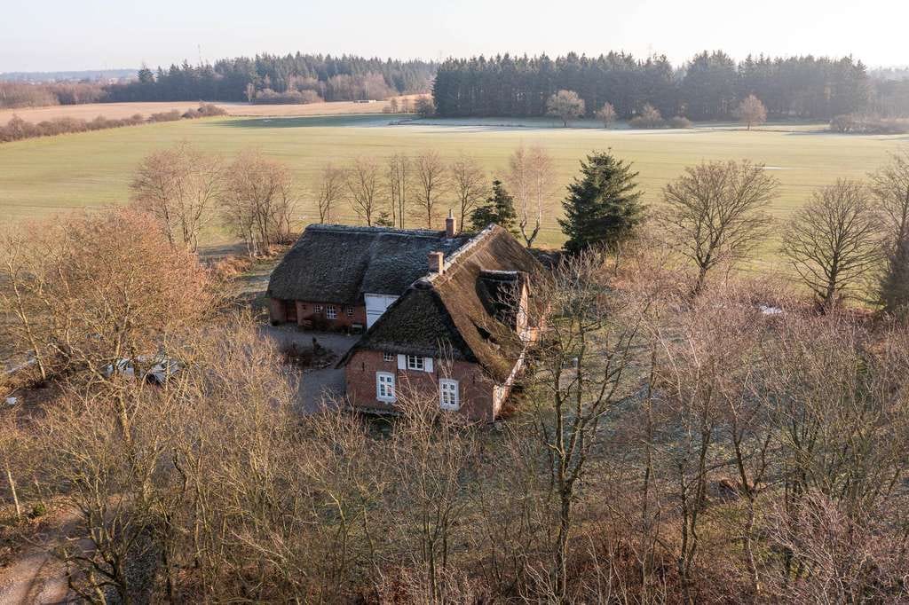 Immobilie in Humptrup - Friesenhaus unter Reet in traumhafter und absoluter Natur-Alleinlage - Bild 4