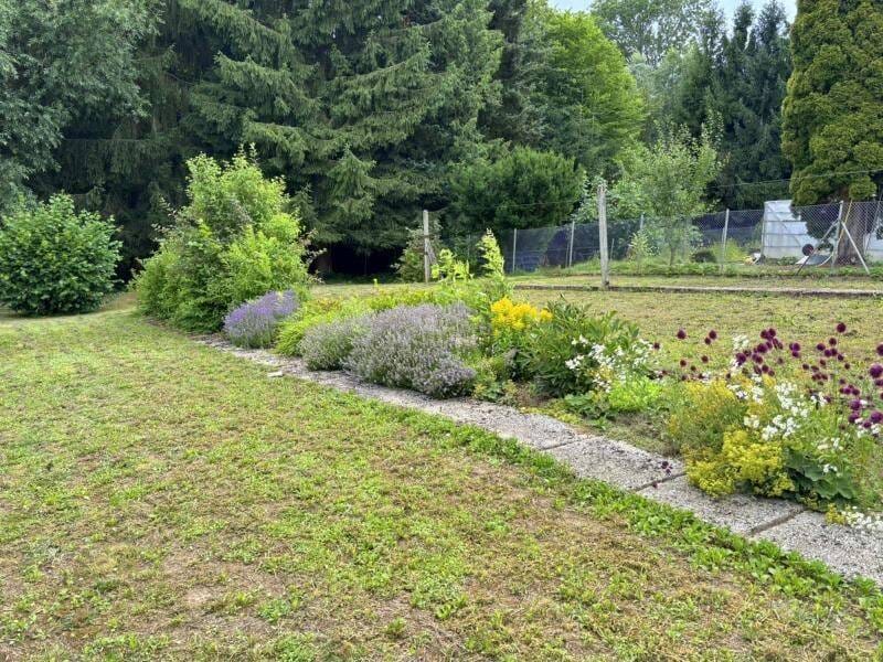 Immobilie in Hadamar - Charmantes Einfamilienhaus mit Scheune, weiteren Nebengebäuden und großzügigem Garten in Niederhadamar - Bild 3