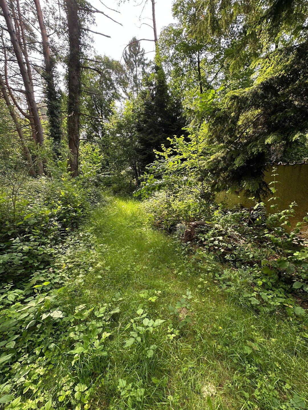 Immobilie in Carlsberg - *** Kleines Wochenendhaus im Naturschutzgbiet Pfälzerwald in Carlsberg-Hertlingshausen *** - Bild 3
