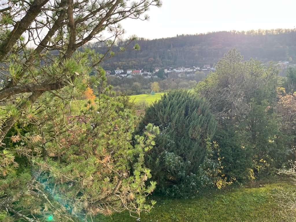 Immobilie in Forchtenberg - Einfamilienhaus in unverbaubarer Lage mit toller Aussicht - Bild 2